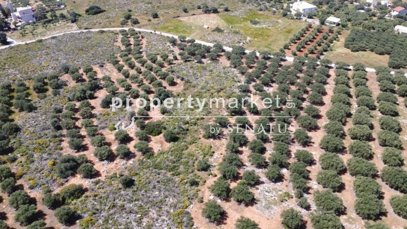 Οικόπεδο 5.365 τ.μ. προς πώληση, Χωραφάκια