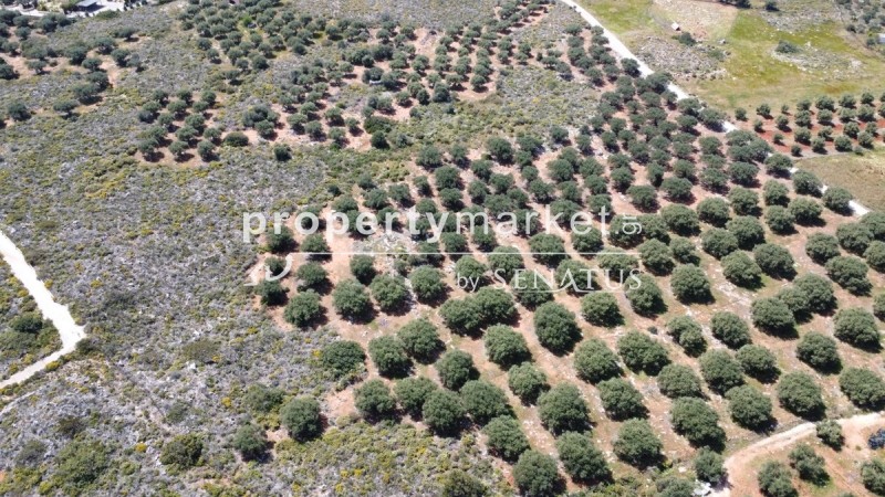 Οικόπεδο 5.365 τ.μ. προς πώληση, Χωραφάκια
