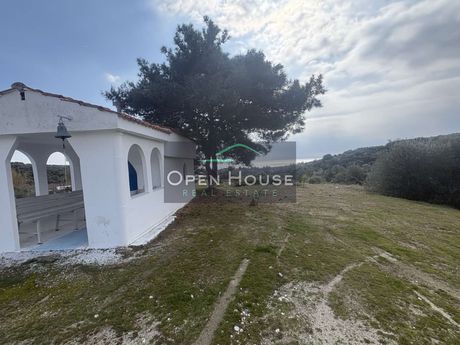 Parcel 3.250sqm for sale-Eleitheres » Paralia Elaiochoriou