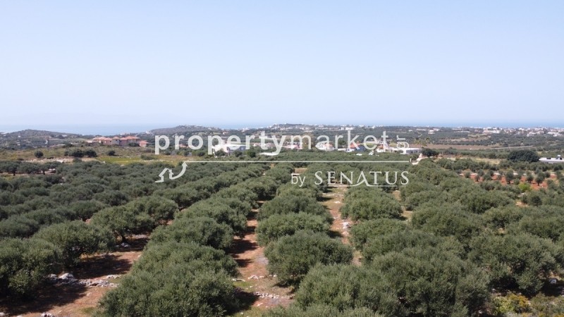 Οικόπεδο 5.361 τ.μ. προς πώληση, Χωραφάκια