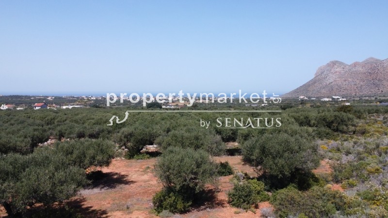 Οικόπεδο 5.361 τ.μ. προς πώληση, Χωραφάκια