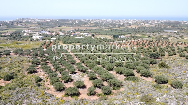Οικόπεδο 5.361 τ.μ. προς πώληση, Χωραφάκια