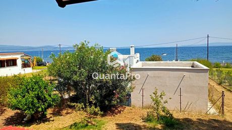 Μονοκατοικία 90τ.μ. για πώληση-Σιθωνία » Όρμος παναγίας