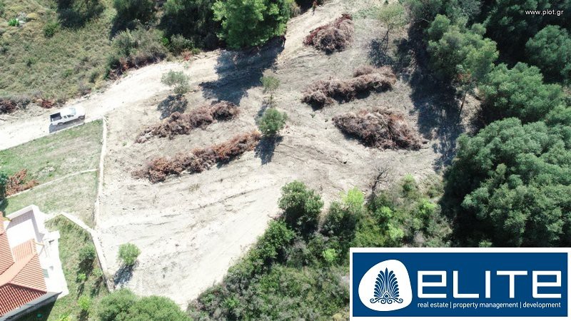 Οικόπεδο 1.500 τ.μ. προς πώληση, Ελειός - Πρόννοι