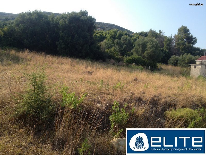 Οικόπεδο 1.200 τ.μ. προς πώληση, Ελειός - Πρόννοι