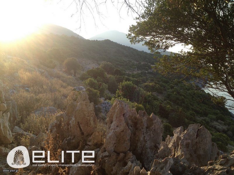 Οικόπεδο 11.300 τ.μ. προς πώληση, Ελειός - Πρόννοι