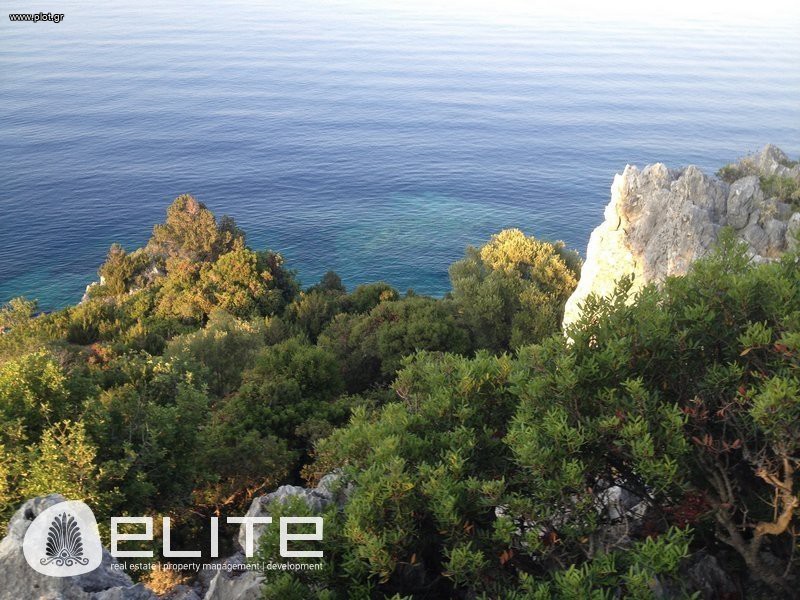 Οικόπεδο 11.300 τ.μ. προς πώληση, Ελειός - Πρόννοι