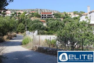 Οικόπεδο 6.559 τ.μ. για πώληση