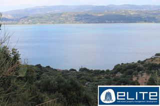 Οικόπεδο 4.239 τ.μ. για πώληση