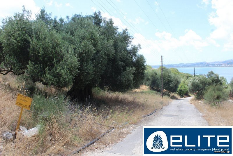 Οικόπεδο 4.239 τ.μ. προς πώληση, Αργοστόλι