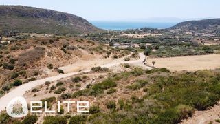 Αγροτεμάχια 2.275,53 τ.μ. για πώληση