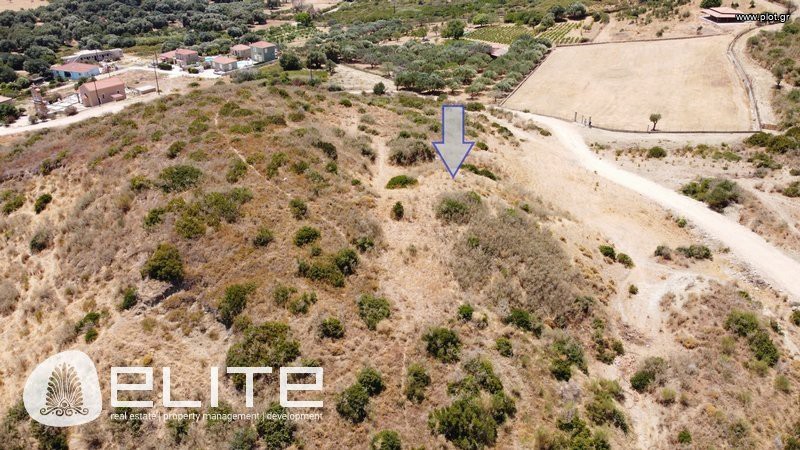 Αγροτεμάχια 4.160 τ.μ. προς πώληση, Ελειός - Πρόννοι