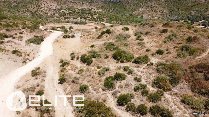 Αγροτεμάχια 4.160 τ.μ. προς πώληση, Ελειός - Πρόννοι