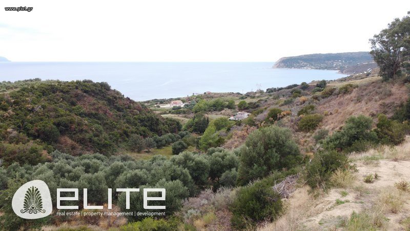 Αγροτεμάχια 7.671 τ.μ. προς πώληση, Ελειός - Πρόννοι