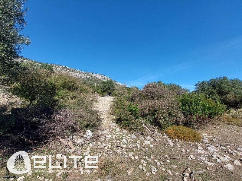 Αγροτεμάχια 572 τ.μ. προς πώληση, Ελειός - Πρόννοι