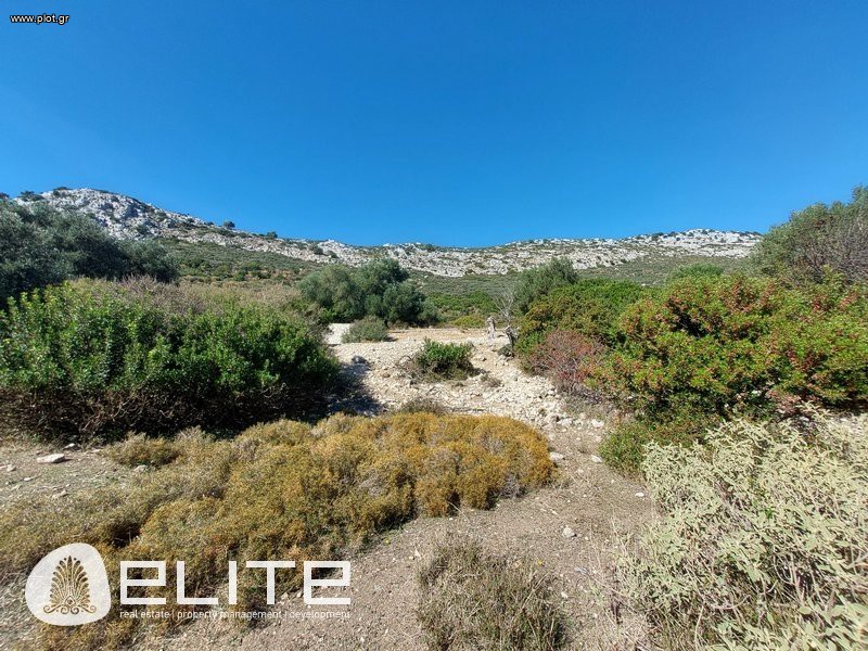 Αγροτεμάχια 572 τ.μ. προς πώληση, Ελειός - Πρόννοι