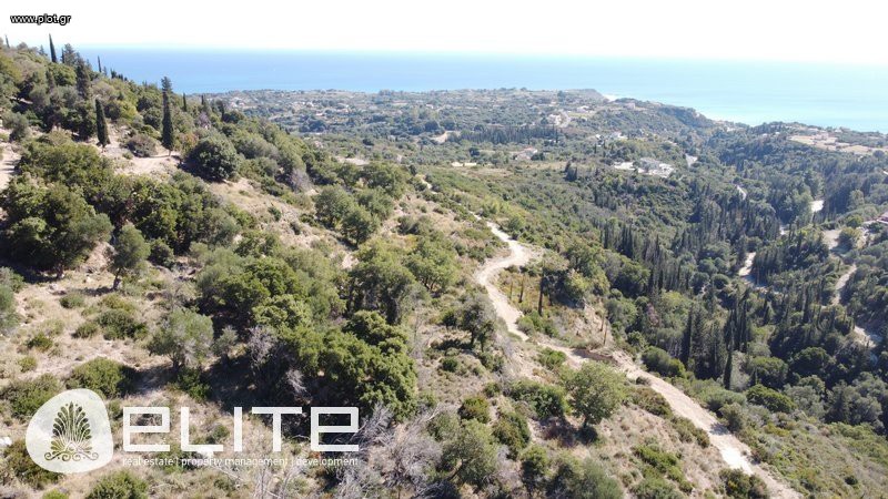 Αγροτεμάχια 2.317,96 τ.μ. προς πώληση, Ελειός - Πρόννοι