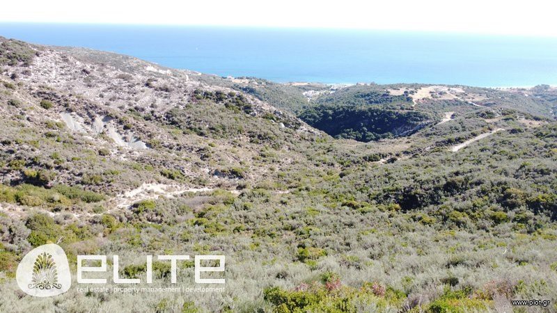 Αγροτεμάχια 6.790 τ.μ. προς πώληση, Ελειός - Πρόννοι
