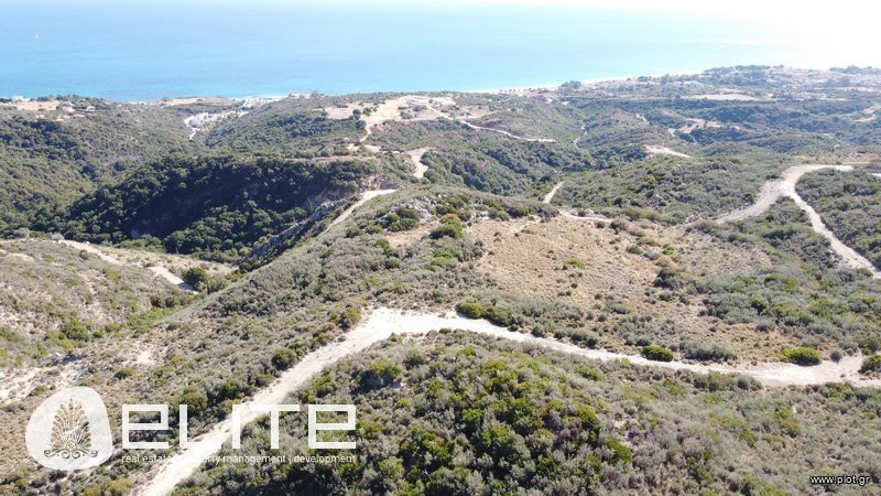 Αγροτεμάχια 6.790 τ.μ. προς πώληση, Ελειός - Πρόννοι