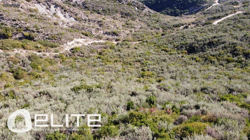 Αγροτεμάχια 6.790 τ.μ. προς πώληση, Ελειός - Πρόννοι