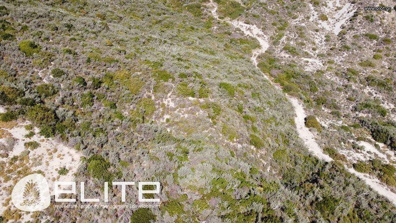 Αγροτεμάχια 6.790 τ.μ. προς πώληση, Ελειός - Πρόννοι