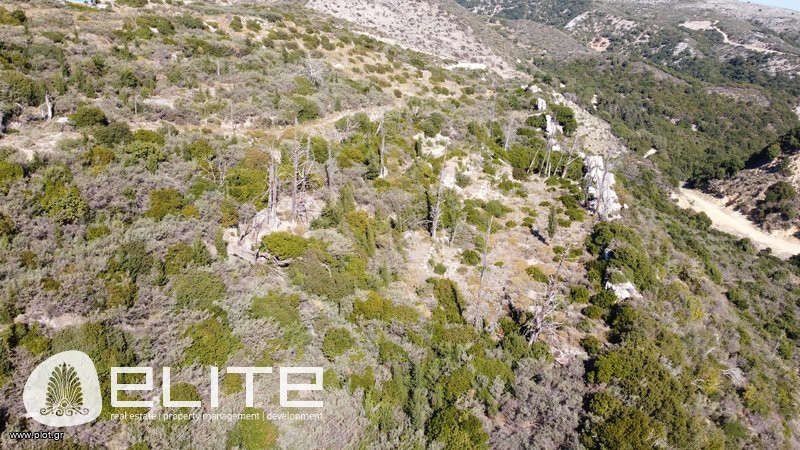 Αγροτεμάχια 4.613 τ.μ. προς πώληση, Ελειός - Πρόννοι