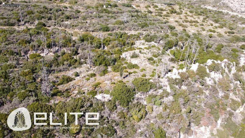 Αγροτεμάχια 4.613 τ.μ. προς πώληση, Ελειός - Πρόννοι