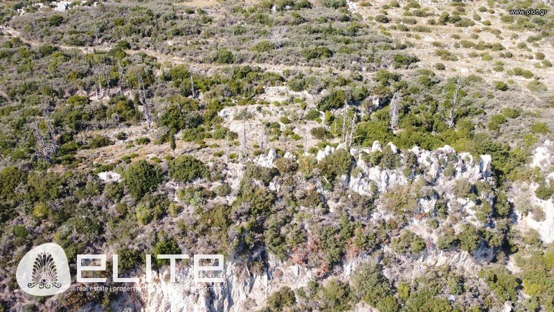 Αγροτεμάχια 4.613 τ.μ. προς πώληση, Ελειός - Πρόννοι