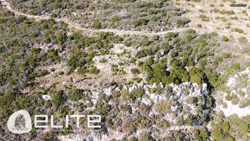 Αγροτεμάχια 4.613 τ.μ. προς πώληση, Ελειός - Πρόννοι