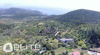 Αγροτεμάχια 3.409 τ.μ. για πώληση