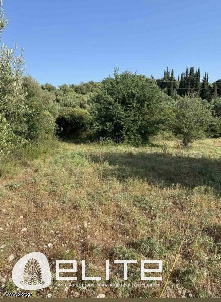 Αγροτεμάχια 3.409 τ.μ. προς πώληση, Περαχώρι Ιθάκης