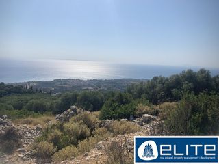 Αγροτεμάχια 6.500 τ.μ. για πώληση