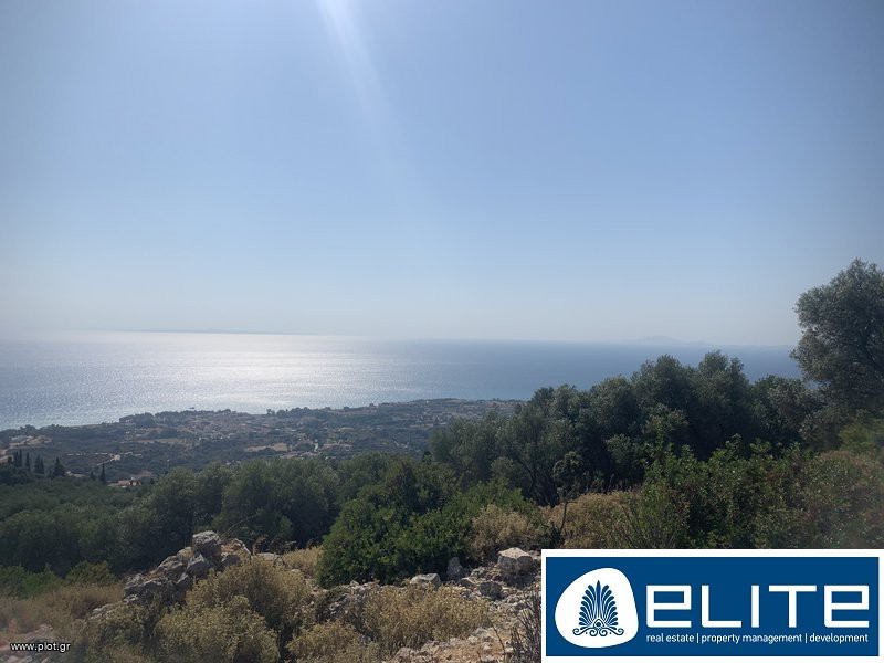 Αγροτεμάχια 6.500 τ.μ. προς πώληση, Ελειός - Πρόννοι