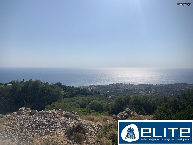 Αγροτεμάχια 6.500 τ.μ. προς πώληση, Ελειός - Πρόννοι