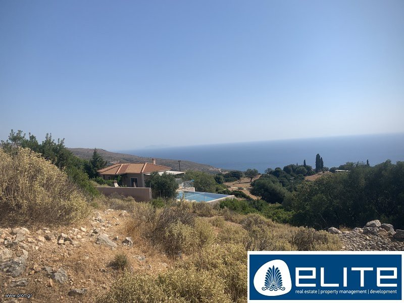 Αγροτεμάχια 6.500 τ.μ. προς πώληση, Ελειός - Πρόννοι