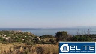 Αγροτεμάχια 4.000 τ.μ. για πώληση