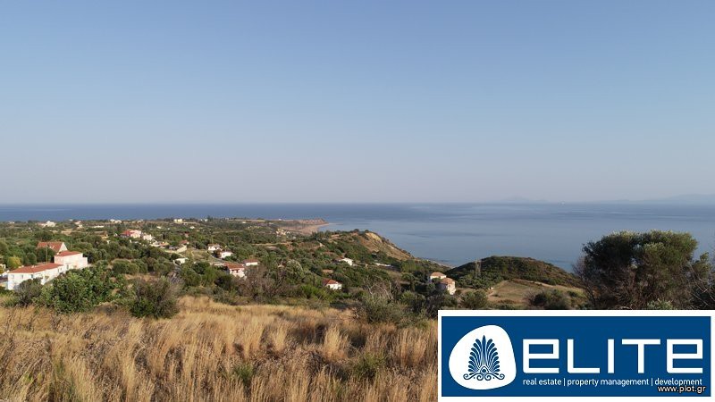 Αγροτεμάχια 4.000 τ.μ. προς πώληση, Ελειός - Πρόννοι