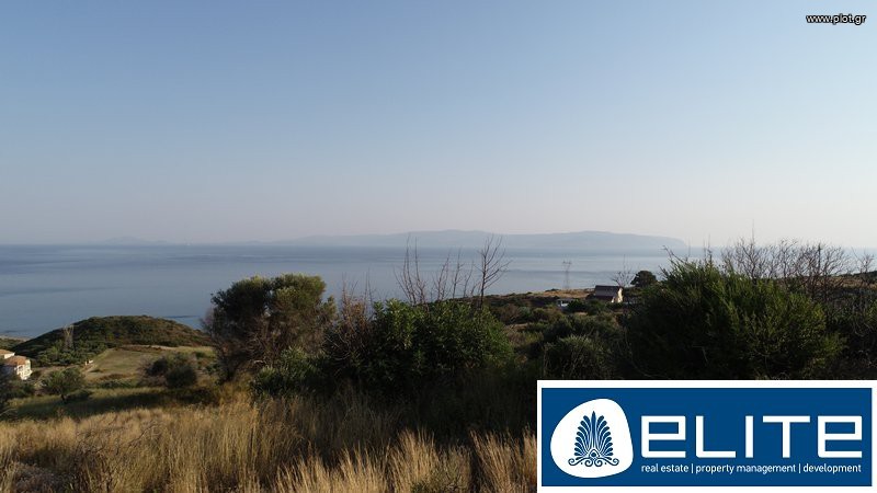 Αγροτεμάχια 4.000 τ.μ. προς πώληση, Ελειός - Πρόννοι