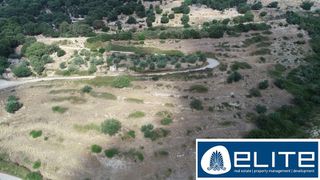 Αγροτεμάχια 17.437 τ.μ. για πώληση