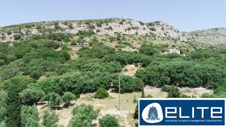 Αγροτεμάχια 4.200τ.μ. για πώληση-Κεφαλονιά » Ελειός - πρόννοι