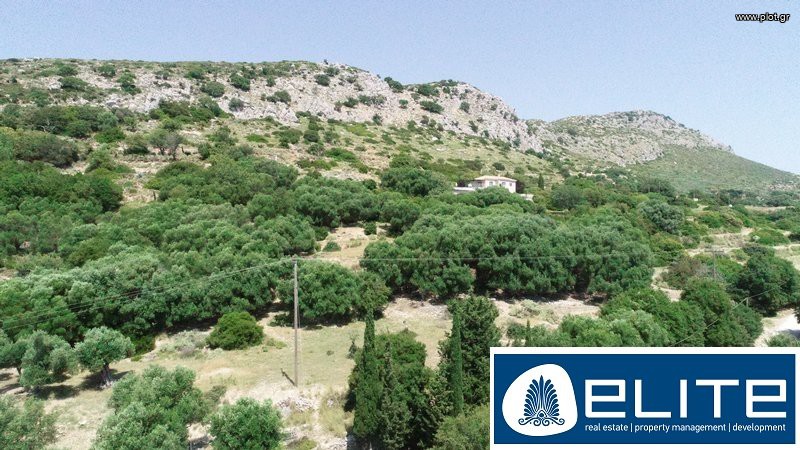 Αγροτεμάχια 4.200 τ.μ. προς πώληση, Ελειός - Πρόννοι