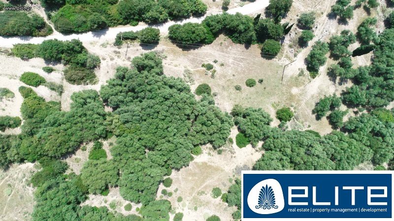Αγροτεμάχια 4.200 τ.μ. προς πώληση, Ελειός - Πρόννοι
