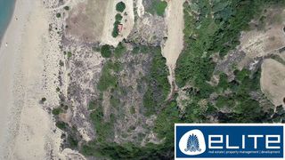 Αγροτεμάχια 27.000 τ.μ. για πώληση