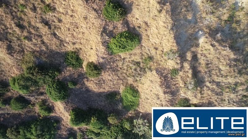 Αγροτεμάχια 4.100 τ.μ. προς πώληση, Ελειός - Πρόννοι