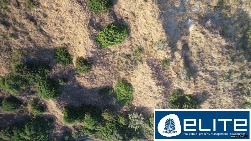 Αγροτεμάχια 4.100 τ.μ. προς πώληση, Ελειός - Πρόννοι