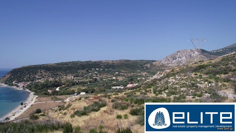 Αγροτεμάχια 13.000 τ.μ. προς πώληση, Ελειός - Πρόννοι