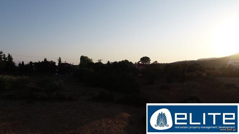 Αγροτεμάχια 4.050 τ.μ. προς πώληση, Ελειός - Πρόννοι