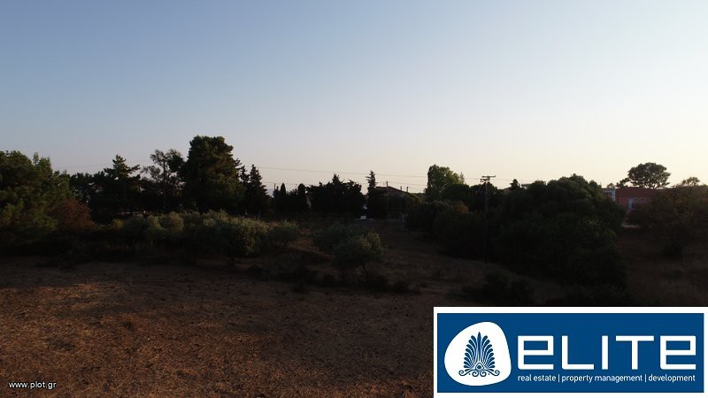 Αγροτεμάχια 4.050 τ.μ. προς πώληση, Ελειός - Πρόννοι