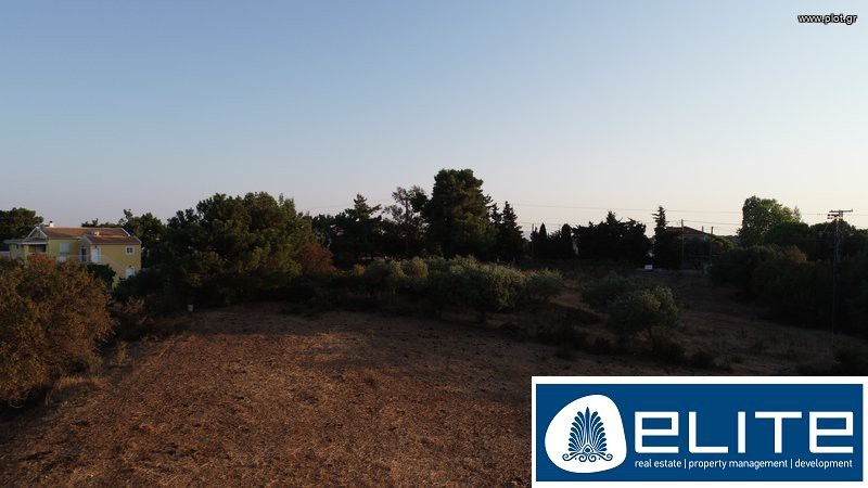 Αγροτεμάχια 4.050 τ.μ. προς πώληση, Ελειός - Πρόννοι
