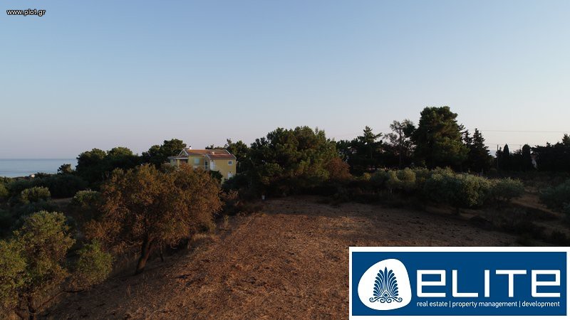 Αγροτεμάχια 4.050 τ.μ. προς πώληση, Ελειός - Πρόννοι